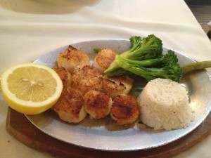 scallops in great neck